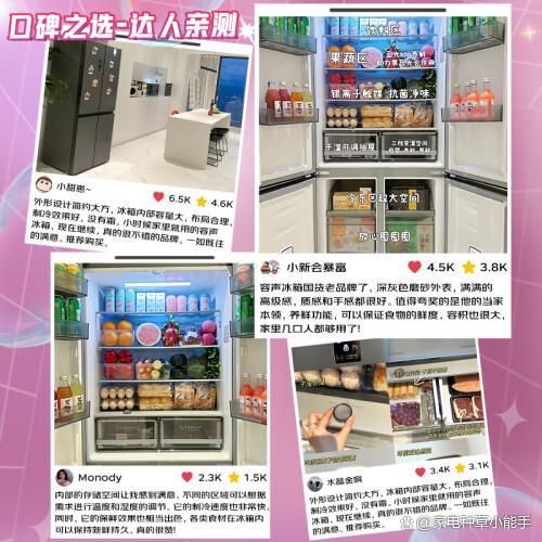 好？五款大容量家用冰箱推荐省电实用爱游戏app网站冰箱哪个品牌质量(图6)