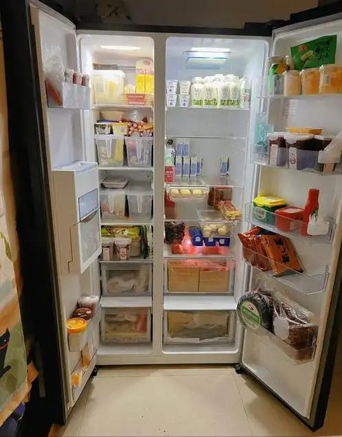 河南冰箱巨头被外资围剿卖身康佳6年如今怎样ayx爱游戏体育网页版入口亏24亿！曾是(图10)