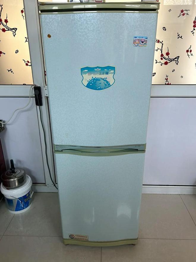 河南冰箱巨头被外资围剿卖身康佳6年如今怎样ayx爱游戏体育网页版入口亏24亿！曾是(图18)
