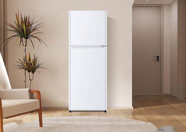 LHTME0WT：849元145升双门节能冰箱ayx爱游戏app节能新选择海尔BCD-145(图2)