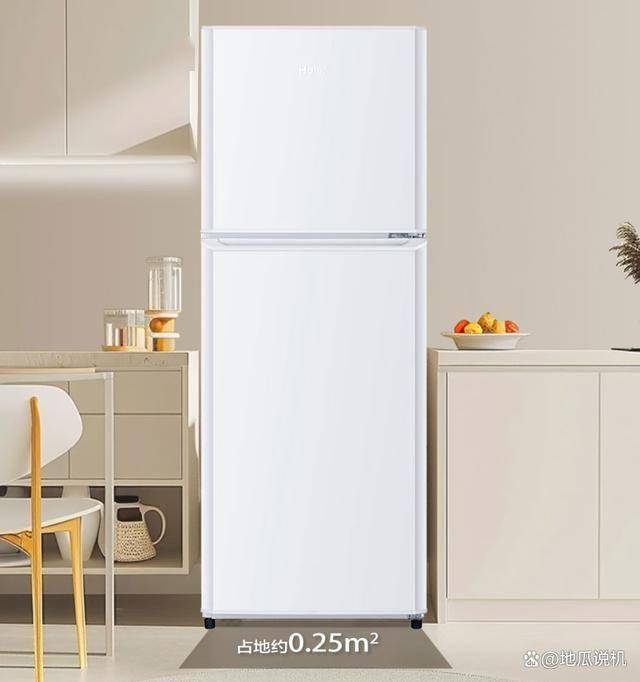 LHTME0WT：849元145升双门节能冰箱ayx爱游戏app节能新选择海尔BCD-145(图4)